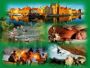 tourism